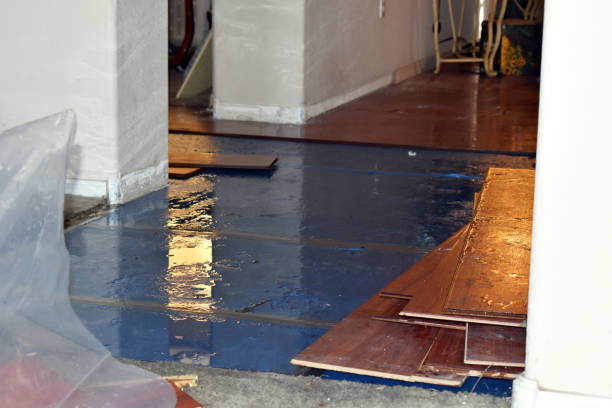 Professional Burst Pipe Cleanup technician working in Bath, MI